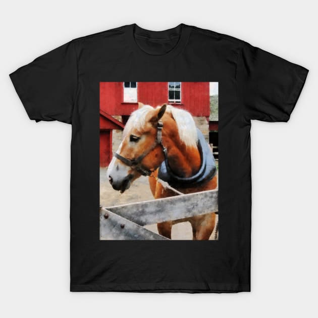 Horses - Palomino By Red Barn T-Shirt by SusanSavad